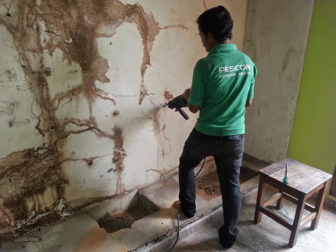 PESCON technician carrying out anti-termite treatment on a damaged wall